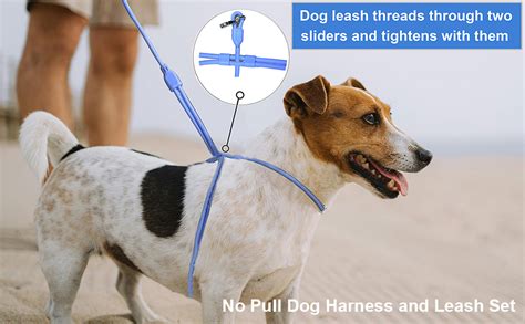 Tiesenci Hands Free Dog Leash Crossbody 8 9 In 1 Waist