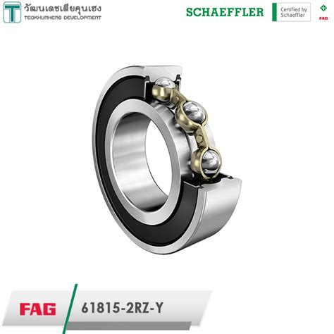 FAG 61815 2RZ Y ตลบลกปนขนาด 75x95x10 Bearing