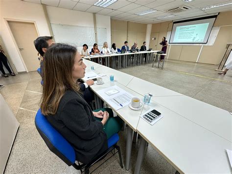 Gaepe Pi Realiza Primeira Reuni O Presencial Como Foco Na Educa O