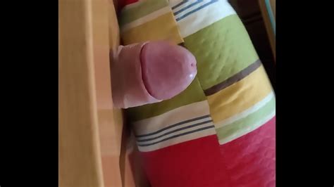 I Will Fuck Anything XNXX