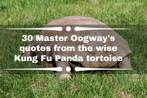 30 Master Oogways Quotes From The Wise Kung Fu Panda Tortoise ~ Kolalanders