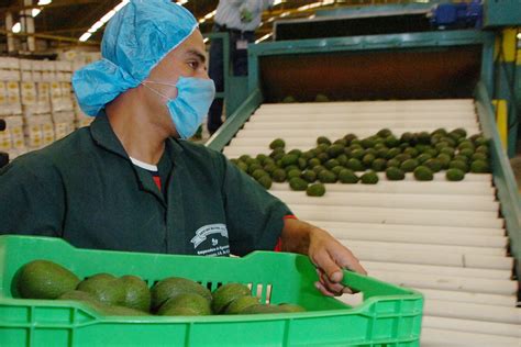 Crecimiento Constante En El Sector Agroalimentario Secretaría De