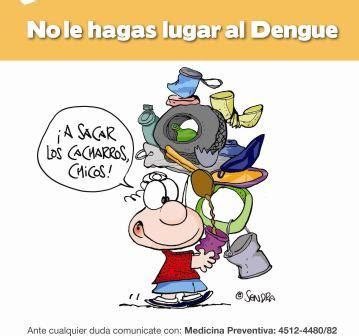 Alerta en Argentina por la propagación del Dengue Infografías Todo