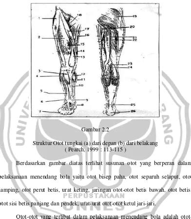 SUMBANGAN FLEKSIBILITAS DAN POWER TUNGKAI TERHADAP HASIL TENDANGAN