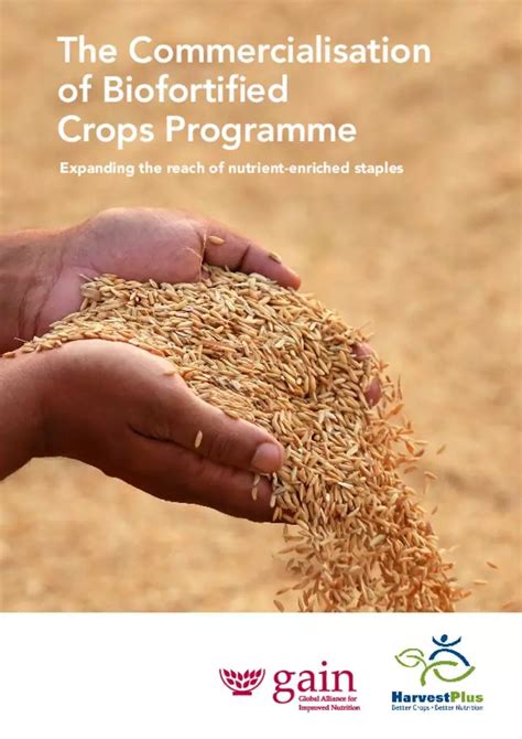 The Commercialisation Of Biofortified Crops Programme Gain