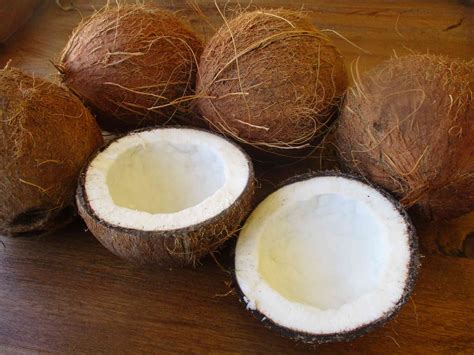 Noix de coco en polynésie Voyage Carte Plan