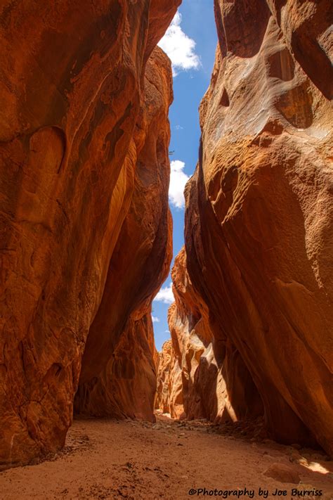 Vermilion Cliffs National Monument Wire Pass Buckskin Gulch And