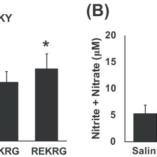 Effects Of Rg3 Enriched Korean Red Ginseng Extract REKRG On