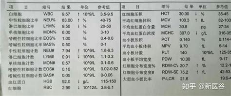 谷谷带你读懂报告单之血常规 知乎