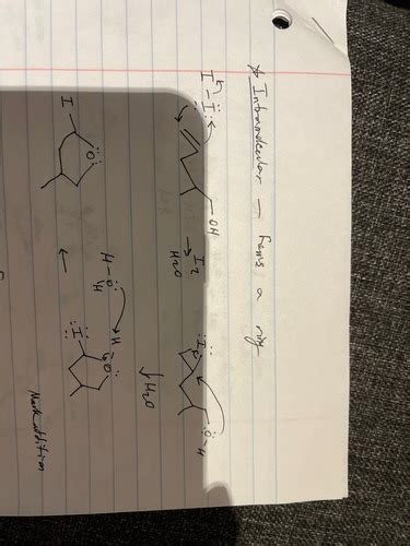 Organic Chem 1 Exam 3 Flashcards Quizlet