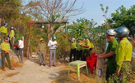 Cưỡng Chế đất Rừng Bị Lấn Chiếm Tại Vườn Quốc Gia Núi Chúa ở Ninh Thuận