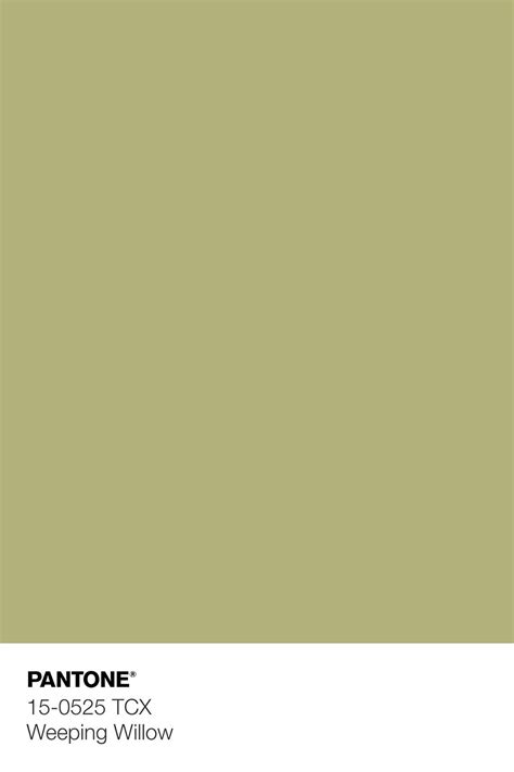 Pantone Tcx Weeping Willow Wallpaper Color Palette Pantone