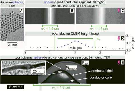 Typical morphological features of lines printed from AuNP at c Au ¼ 30