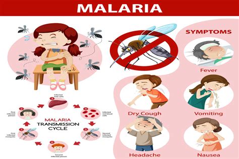 Malaria in Babies - Causes, Symptoms and Treatment - Being The Parent