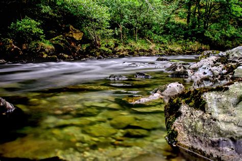 Fotos gratis paisaje árbol naturaleza bosque rock Arroyo