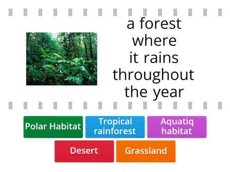 Types of Habitats - Find the match