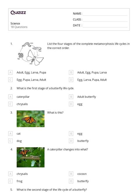 Life Science Worksheets For Nd Year On Quizizz Free Printable