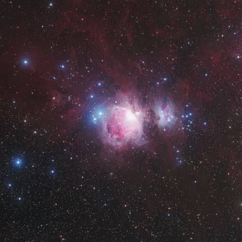 Orion Nebula Telescope Live