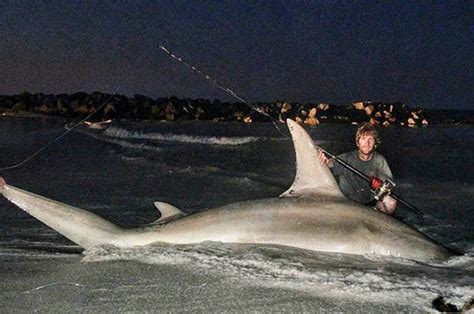 Hammerhead Shark Fishing Biggest Ever Caught Off Geraldton Beach