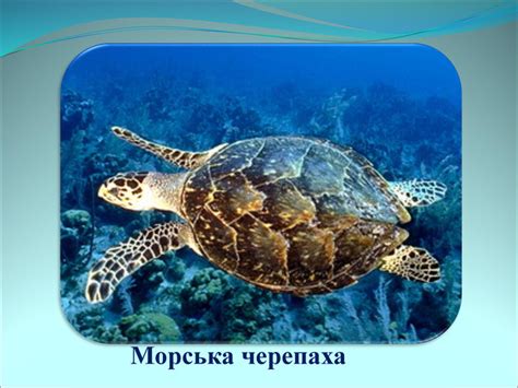 Презентація до уроку "Океани Землі"