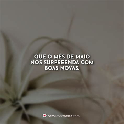 Frases de Maio meu mês Amor Frases