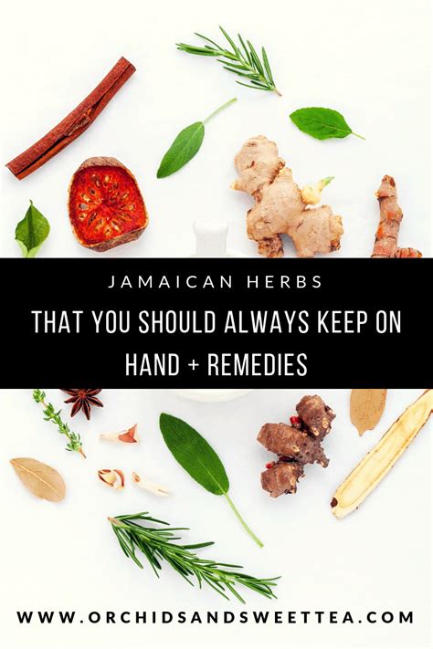 Jamaican Medicinal Plants