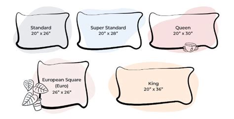 Pillow Sizes Chart A Guide To Every Type Of Bed Casper 51 OFF