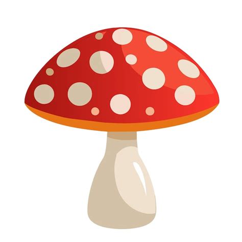 Cartoon Amanita Muscaria Fly Agaric Cogumelo Cone Cogumelos Selvagens