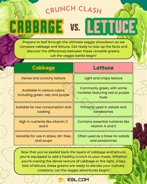 Cabbage Vs Lettuce Differences Between These Vegetables • 7esl