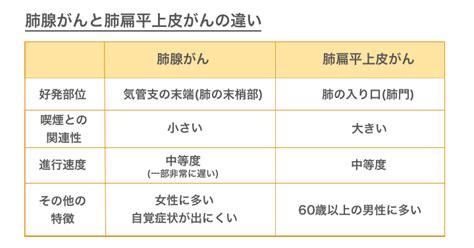 医師監修・作成 肺がんでステージと同じくらい大事な「組織型」：腺がん、扁平上皮がん、大細胞がん、小細胞がん Medleyメドレー