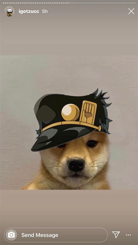 Jotaro Dog Rwholesomejojo