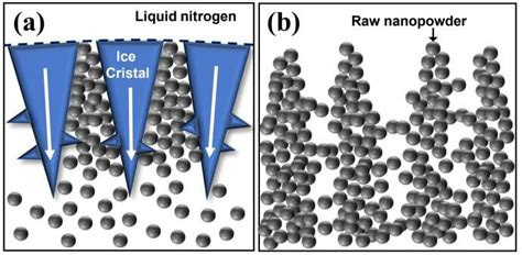 A Schematic Diagrams Of A Ice Crystal Growth During The Freezing Download Scientific