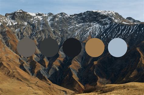 Get Color Palette Inspiration From Nature