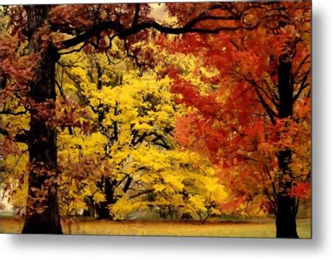 Red And Gold Autumn Photograph By Rosanne Jordan