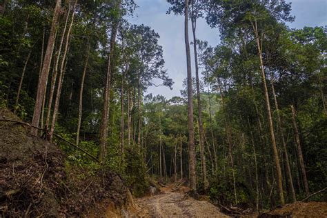 Sensasi Berkemah Sembari Berwisata Alam Di Air Terjun Batu Tilam Kampar