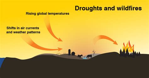 Climate change: Weather on steroids | Environmental Defense Fund