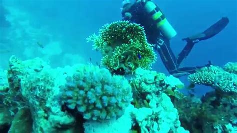 Scuba Diving In Sharm El Sheikh Red Sea Youtube