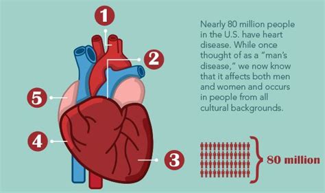 The Many Forms Of Heart Disease