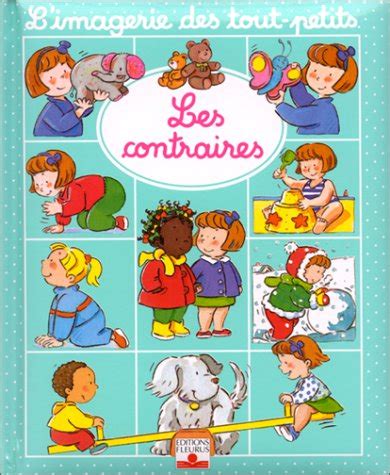 Les Contraires Beaumont Emilie Michelet Sylvie Amazon Fr Livres