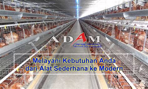 Pusat Peralatan Kandang Ayam Indonesia Pusat Peralatan Kandang Ayam