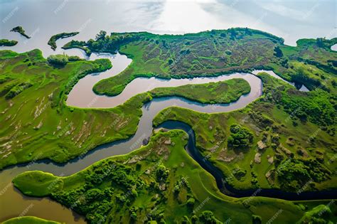 Premium Photo | Aerial view of a river delta with lush vegetation and ...