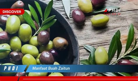 Temukan 7 Manfaat Buah Zaitun Yang Jarang Diketahui Bikin Kamu Penasaran