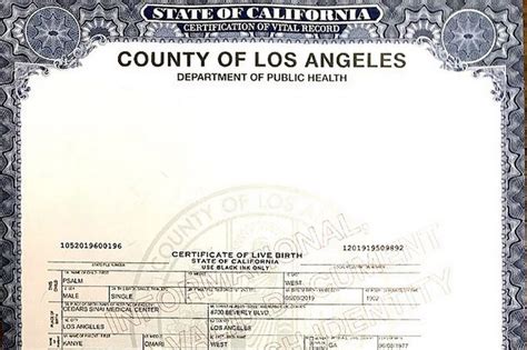 Arriba 78 Imagen Los Angeles County Birth Certificate Office Abzlocal Mx