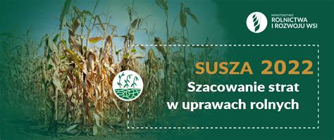 Złóż wniosek o oszacowanie spowodowanych przez suszę strat w uprawach