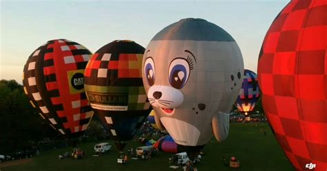 Balloon Festival 2022 Michigan - Spring Festival 2022