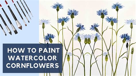 How To Paint Watercolor Cornflowers Easy Cornflower Painting Tutorial