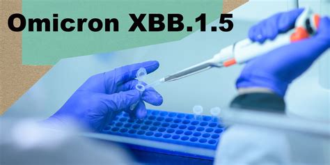 Covid Faut Il Craindre Xbb Ce Nouveau Sous Variant Domicron