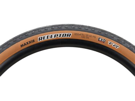 Maxxis Receptor Dual Exo Tr Faltreifen Bike Components