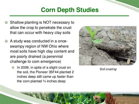 Corn Planting Depth