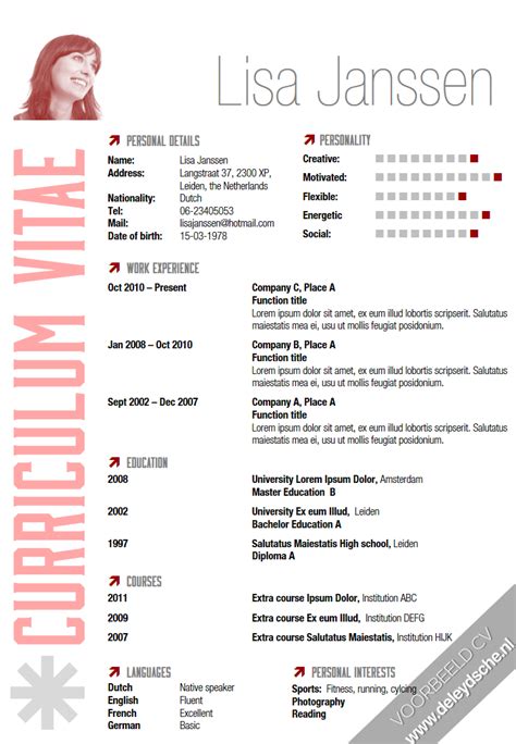 Voorbeeld Cv Curriculum Vitae Vdab The Treasury